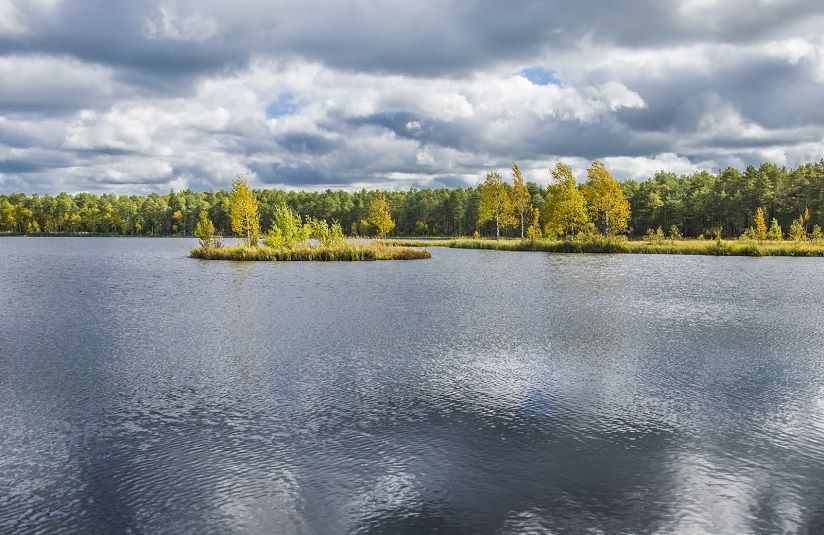 Озеро Орловское