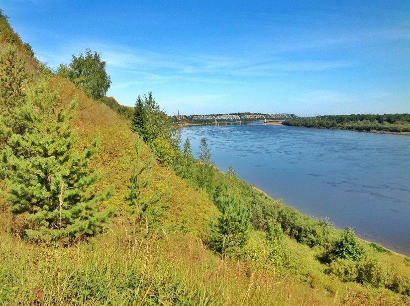Скорняковское городище