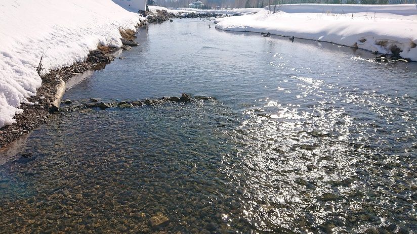 Река Усолка