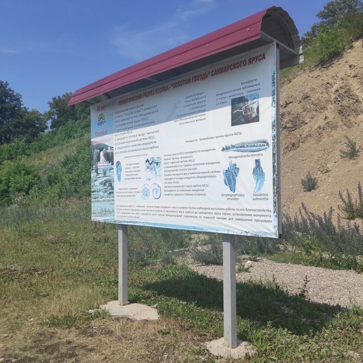 Геологический разрез «Золотой гвоздь»