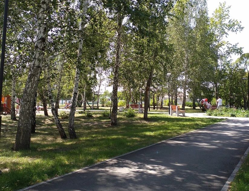 Пионерский парк