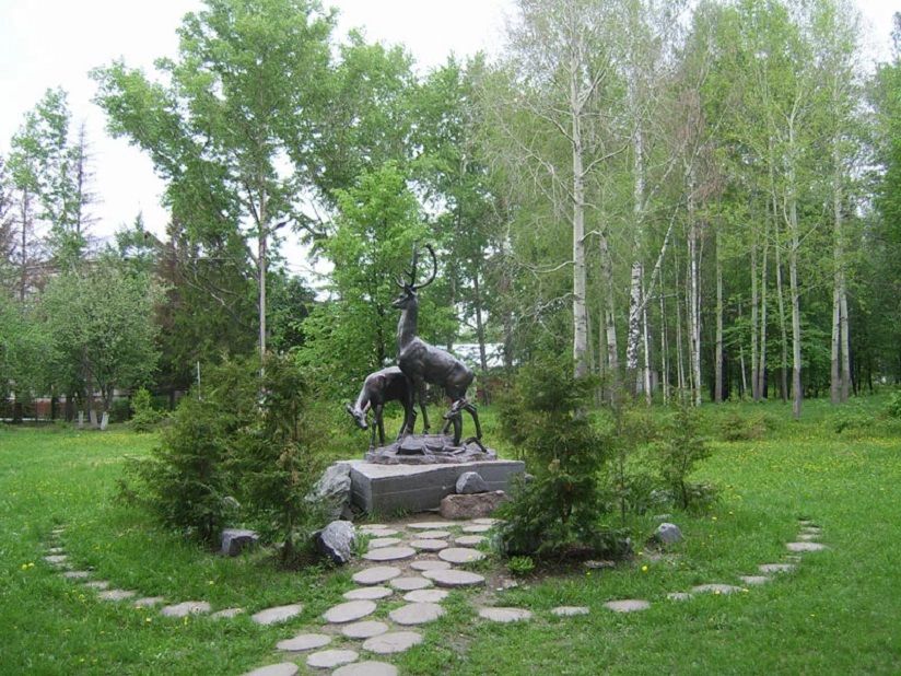 Олени