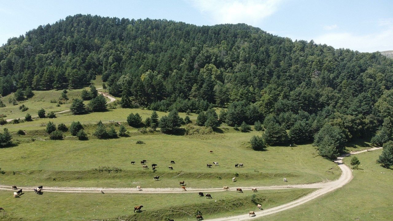 Гора Калигег