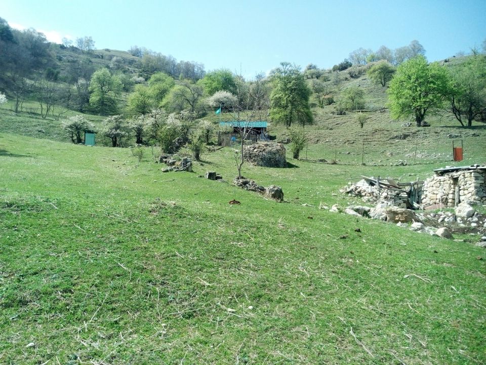 Мечеть им. имама Шамиля