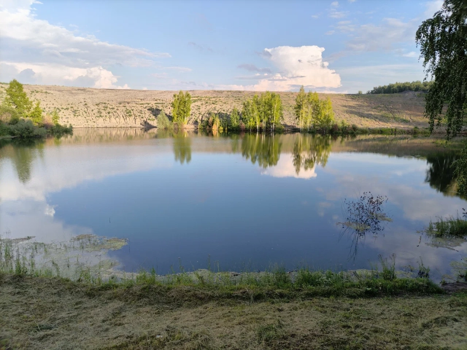 Экопарк «Березовая роща»