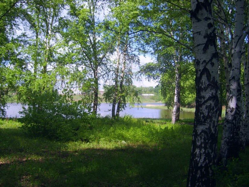 Городской парк