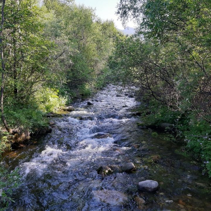 Родник «Серебряные воды»