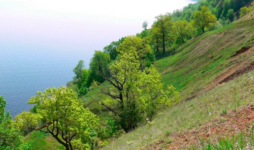 Природный парк «Щучьи горы»