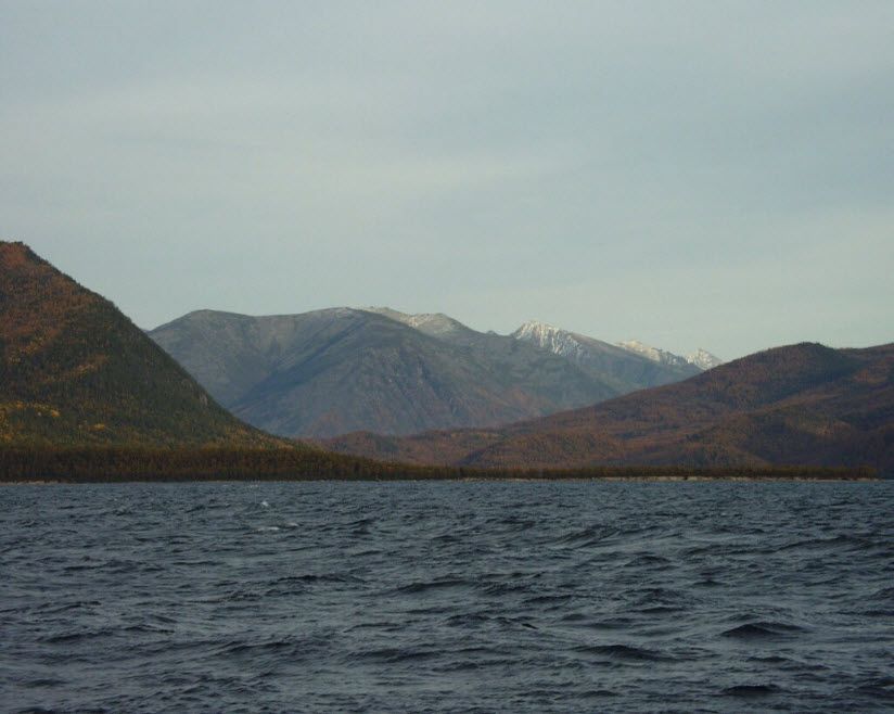 Мыс Тонкий