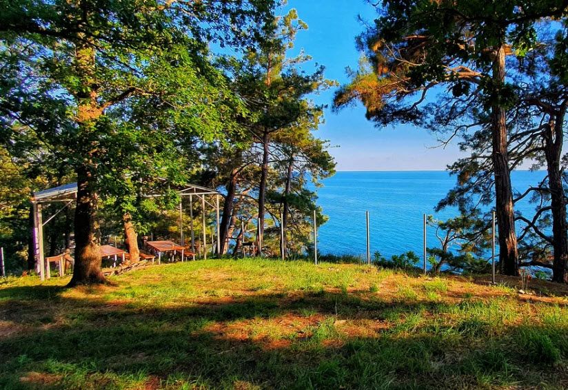 Кемпинг Pine Beach в Небуге