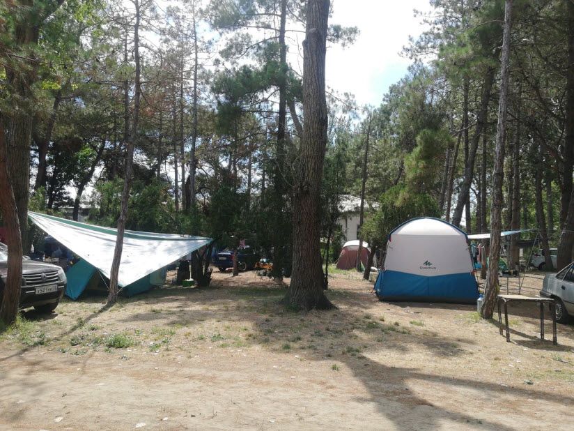 Кемпинг «Голубые ели» в Анапе