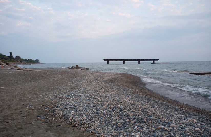 Бабушара