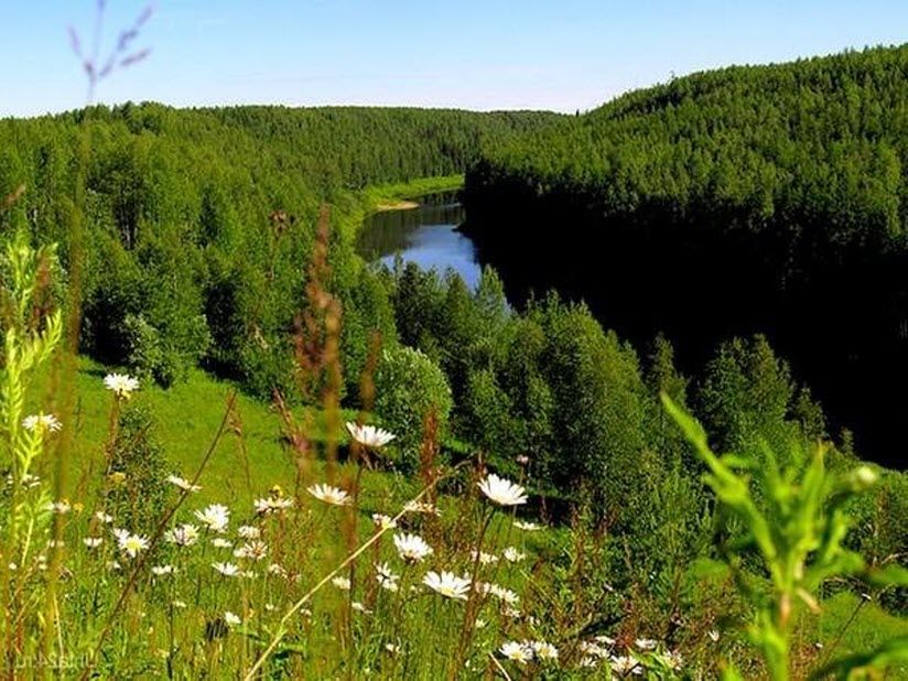 Комплексный заказник «Седьюкский»