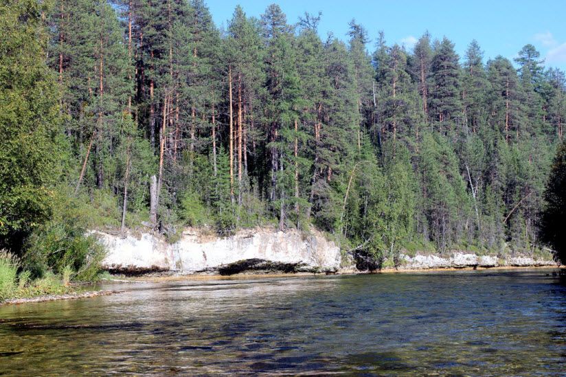 Заказник «Белая Кедва»