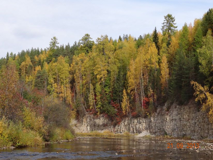 Заказник «Чутьинский»