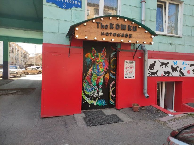 Котокафе «The КОШКИ»