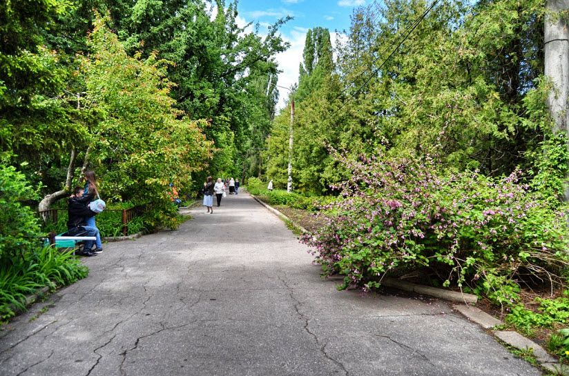 Ботанический сад