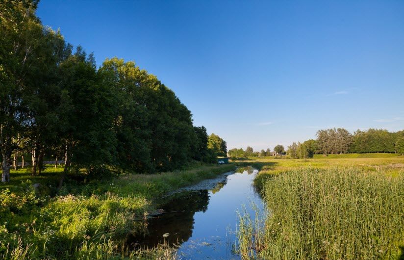 Река Гдовка