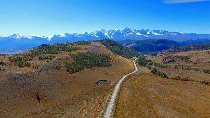 Курайская степь