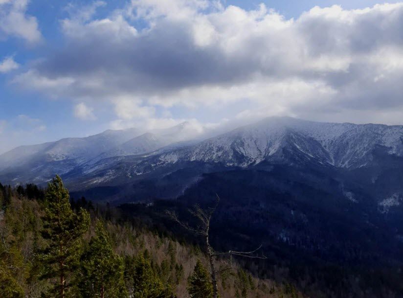 Хребет Борус
