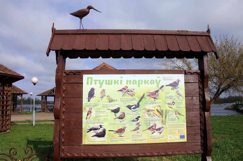 Птичья ферма