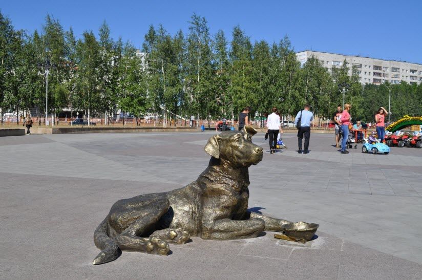 Собака