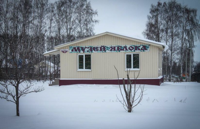 Музей Яблока