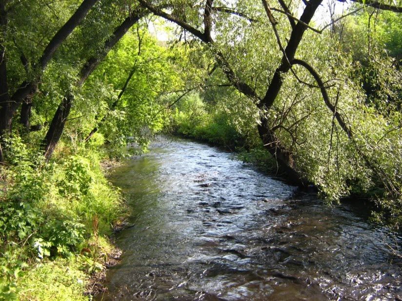 Река Аба