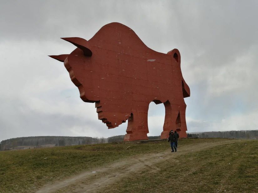 Зубр