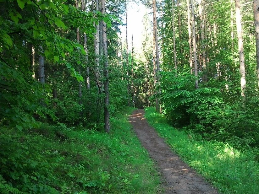 Тропа здоровья