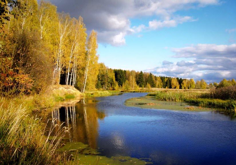 Река Санохта