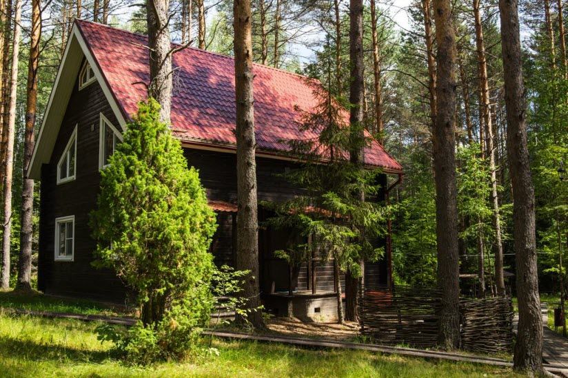 База отдыха «Ягодная деревушка»