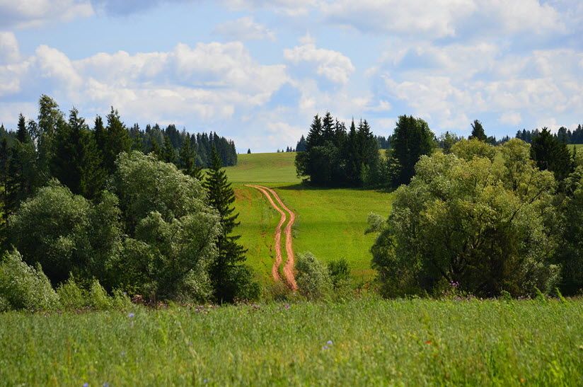 Природный парк «Шаркан»