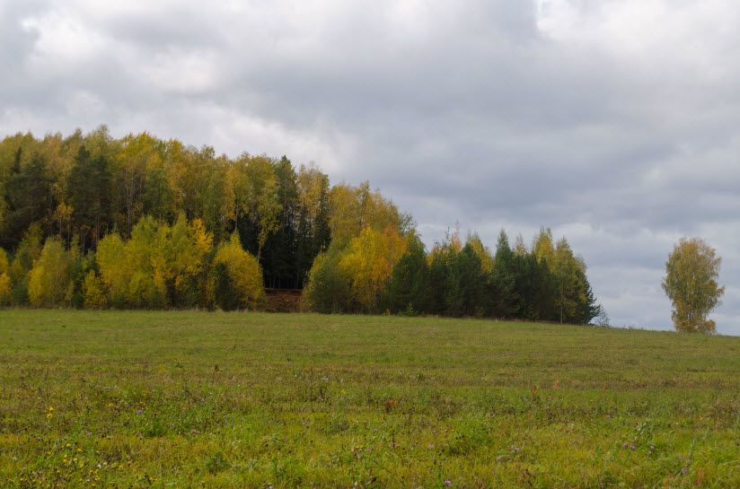 Татарская сопка