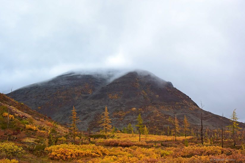 Заказник «Хребтовый»