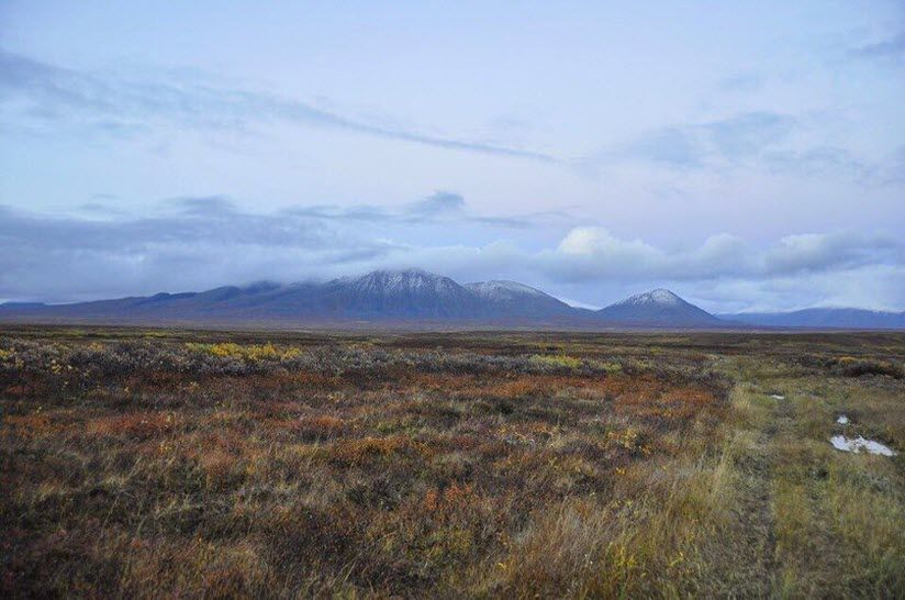Луговой памятник