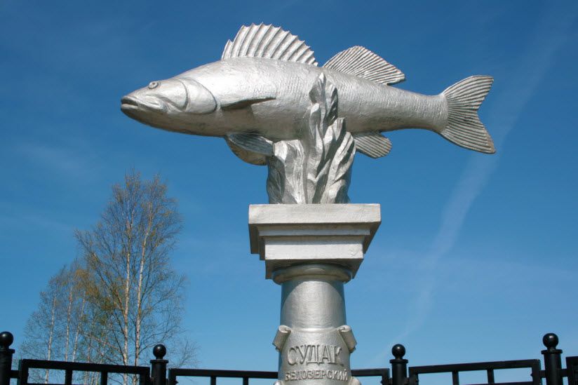 Памятник Белозерскому судаку