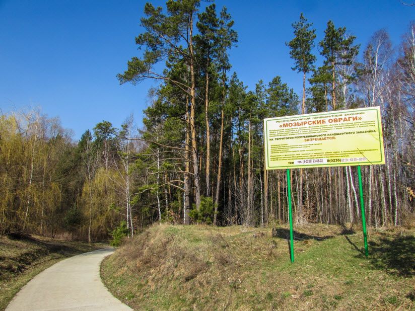 Заказник Мозырские овраги