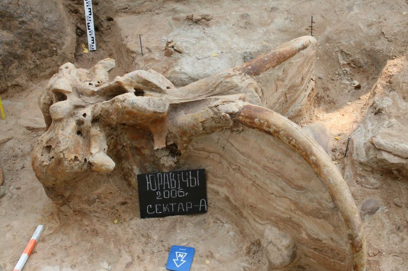 Археологический комплекс Юровичи