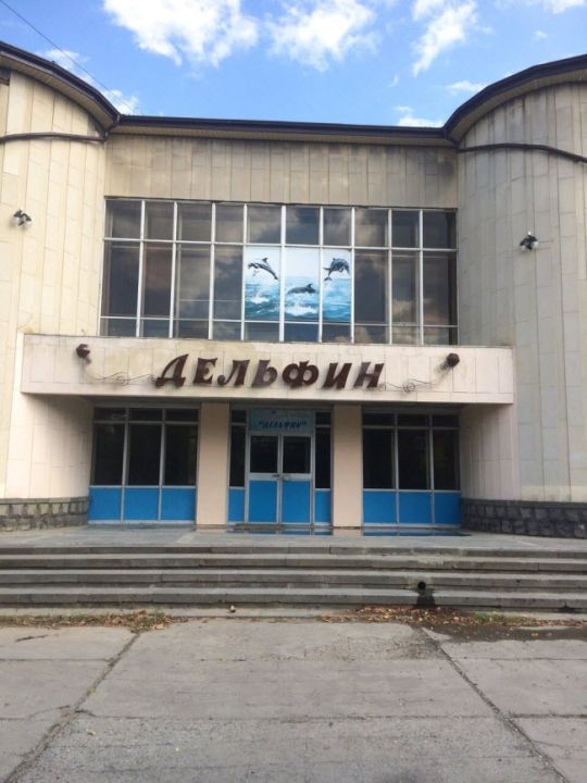 Бассейн «Дельфин»