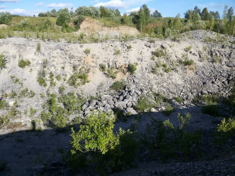 Разрез Белая Гора