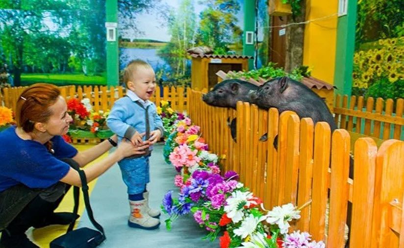 Контактный зоопарк «Веселая деревня»