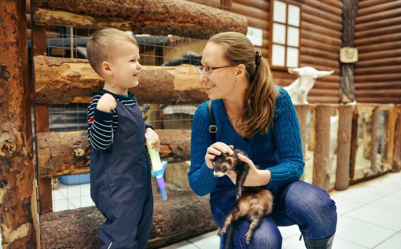 Контактный зоопарк «Обнимашки»