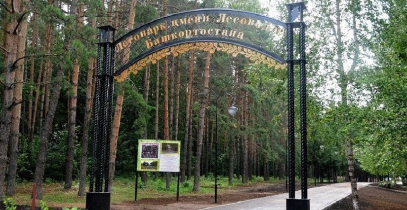 Парк лесоводов