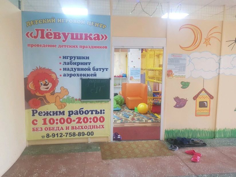 Детский развлекательный центр «Левушка»
