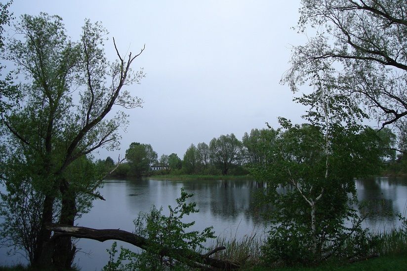 Касмалинский ленточный бор