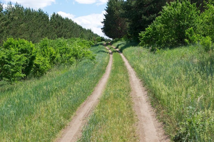 Смирновский бор