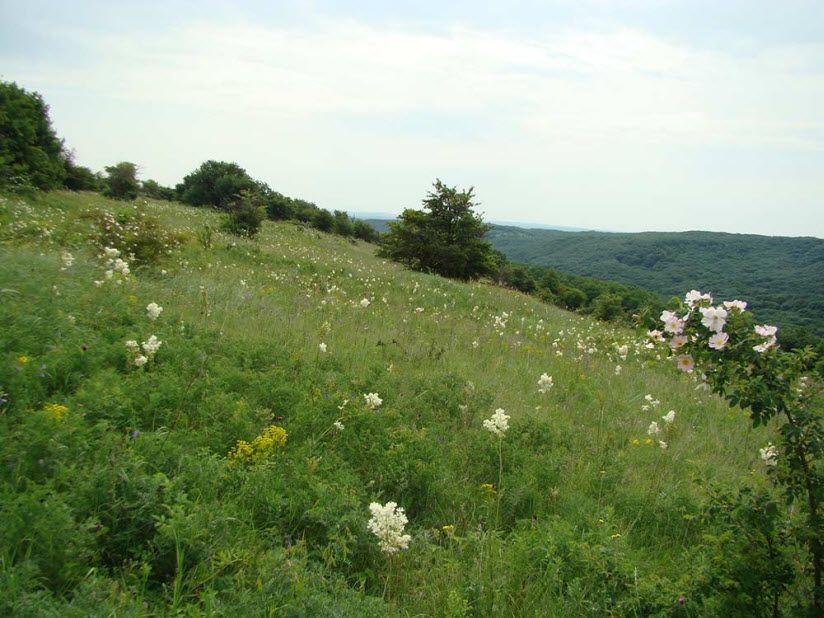 Александровский заказник