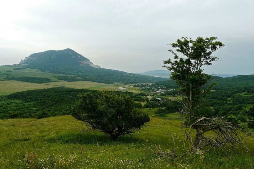 Бештаугорский заказник