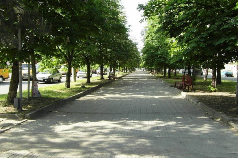 Аллея на проспекте Маркса